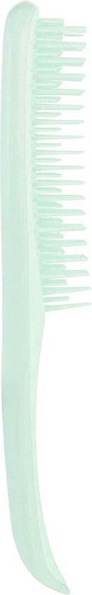 Tangle Teezer Wet Detangling Hairbrush