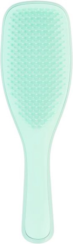 Tangle Teezer Wet Detangling Hairbrush