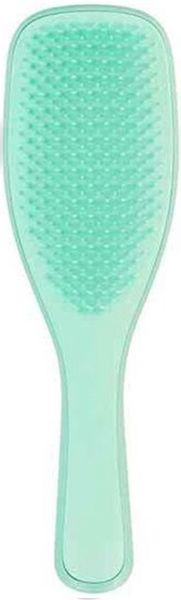 Tangle Teezer Wet Detangling Hairbrush