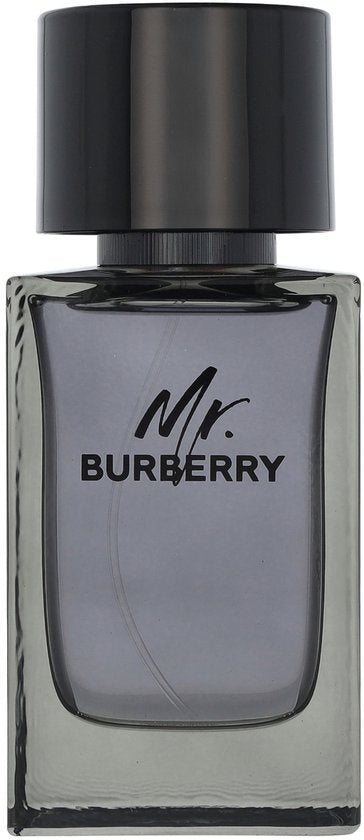Burberry Mr. Burberry Eau de Toilette 100ml
