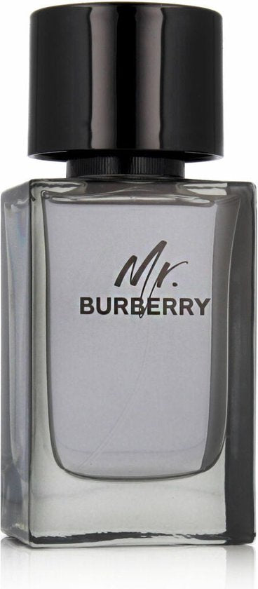 Burberry Mr. Burberry Eau de Toilette 100ml
