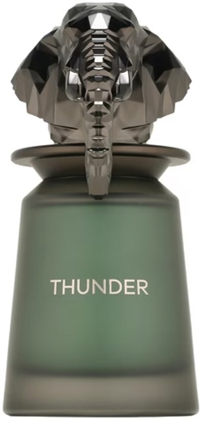 French Avenue Thunder - Eau de Parfum - 100 ml
