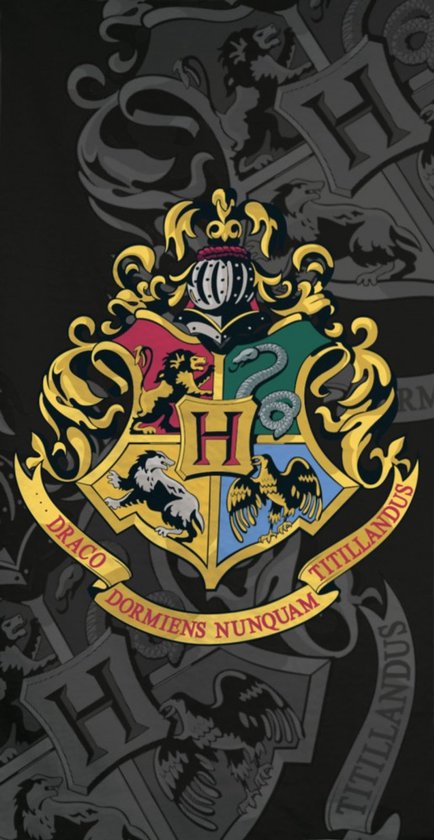 Strandlaken Harry Potter 70x140 cm 100% katoen