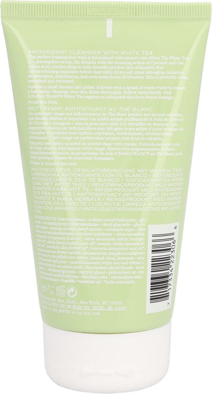 Origins A Perfect World Antioxidant Cleanser