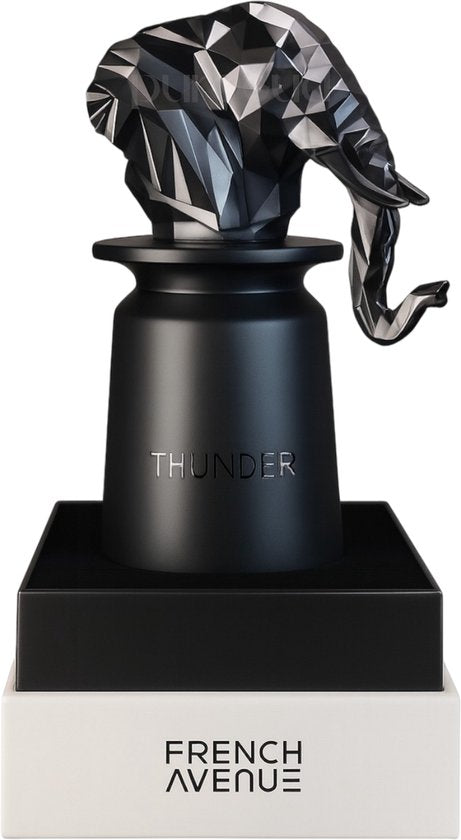 French Avenue Thunder - Eau de Parfum - 100 ml