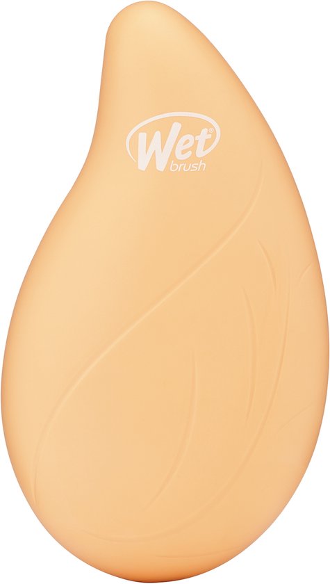 WetBrush Go Green Palm Detangler - Coconut Oil - Compacte Ontwarrende Haarborstel - Voor Nat En Droog Haar - Ultra Zachte IntelliFlex® Borstelharen - Vermindert Haarbreuk - Lichtgewicht & Handzaam Formaat - Verrijkt Met Kokosolie - Oranje