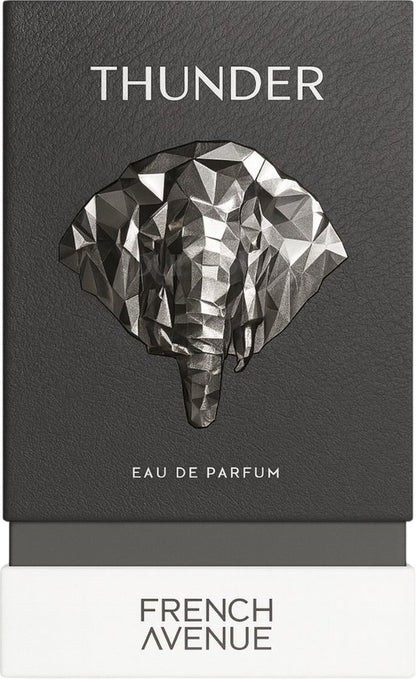 French Avenue Thunder - Eau de Parfum - 100 ml