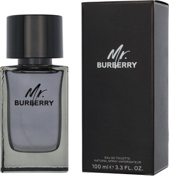 Burberry Mr. Burberry Eau de Toilette 100ml