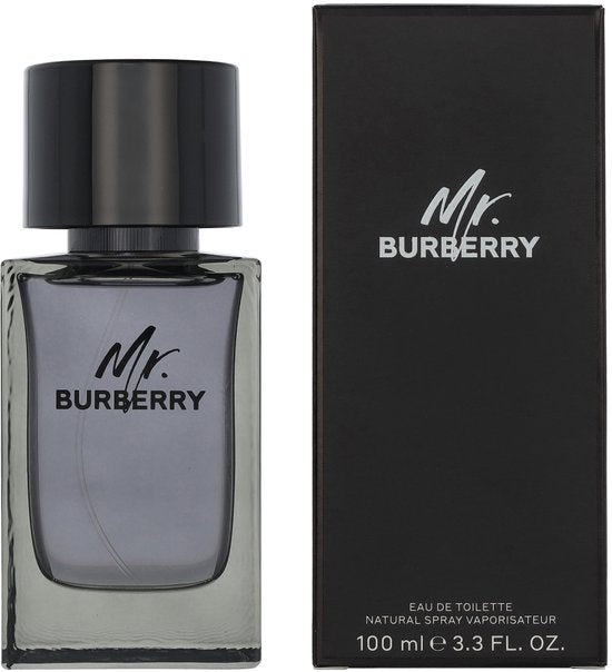 Burberry Mr. Burberry Eau de Toilette 100ml