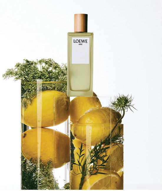 Damesparfum Aire Loewe EDT