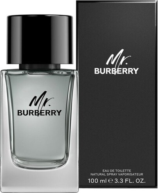 Burberry Mr. Burberry Eau de Toilette 100ml