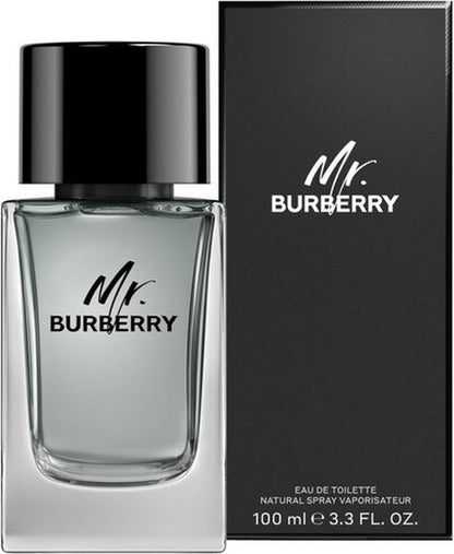 Burberry Mr. Burberry Eau de Toilette 100ml