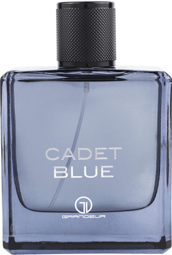Grandeur Cadet Blue - Inspired Bleu de Chanel ml 100ml
